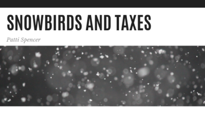 Snowbirds and Taxes - Michael Spencer